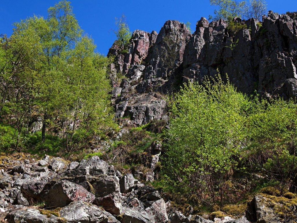 Mannfels Otzenhausen (Foto: NP Hunsrück-Hochwald / K. Funk)